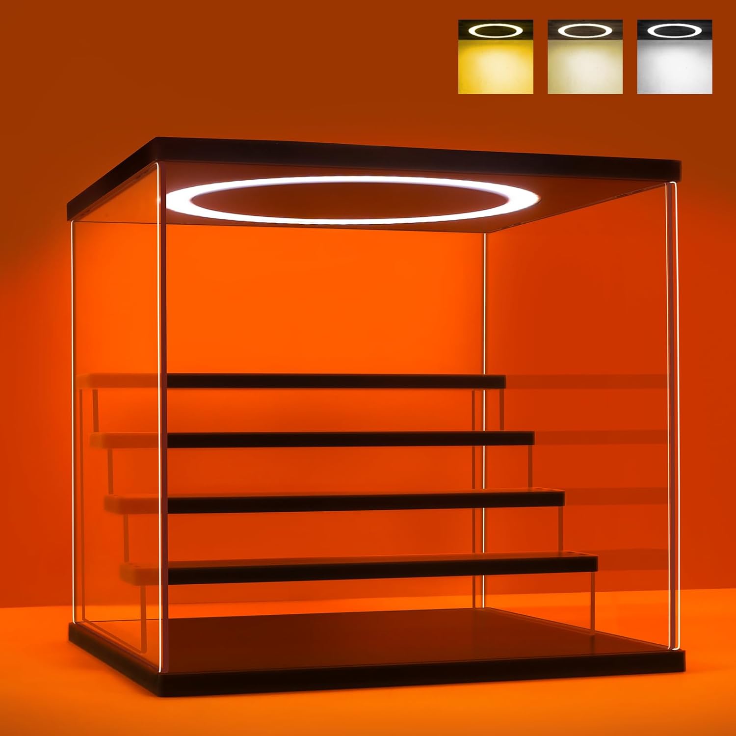 Acrylic Display Case with Adju - Display Case Acrylic ulasan dan harga